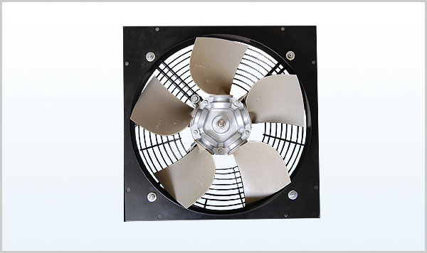 ���հ��Չ��C�L��100003381